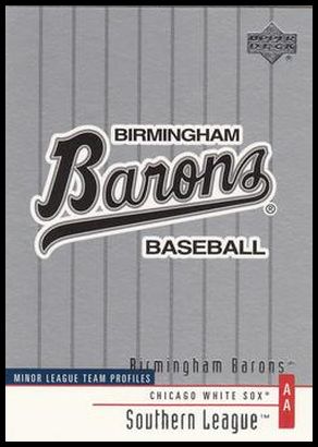 391 Birmingham Barons TM